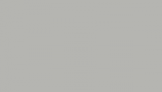 JAZZ GREY